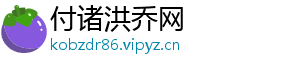 付诸洪乔网